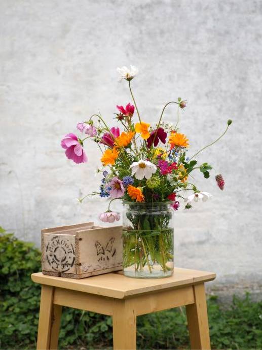 Floral terms image