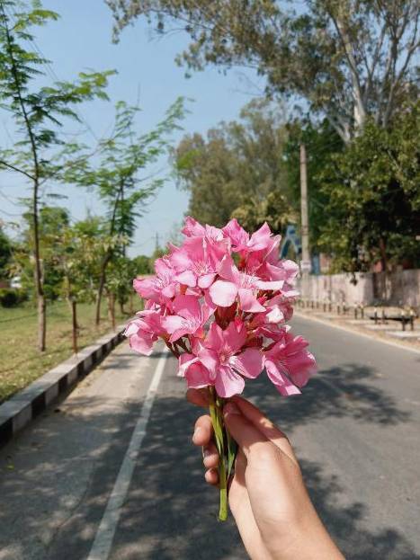 Seasonal flowers in rustic wrap